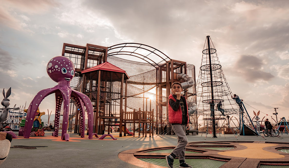 Some Famous Kids Outdoor Playset in the World